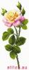 post-2-1361096174_thumb.jpg