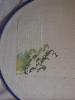DSC00596.JPG