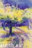 Derwentwater WCL, Лиловый фруктовый сад (Lavender Orchard)
