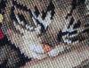 post-4761-1361696474_thumb.jpg