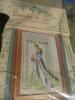 post-6565-1360690669_thumb.jpg