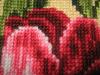post-9206-1359993011_thumb.jpg