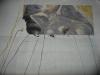 DSCN6544.JPG