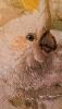 post-24661-1392399304_thumb.jpg