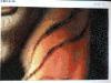 post-11780-1424763039_thumb.jpg