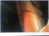 post-11780-1425124007_thumb.jpg