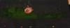 post-22398-1424933432_thumb.jpg