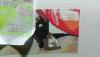 post-27034-1423911542_thumb.jpg