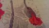 post-28316-1424705525_thumb.jpg