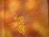 post-3183-1424795964_thumb.jpg