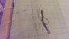 post-4746-1423839826_thumb.jpg