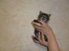 post-9091-1424479205_thumb.jpg