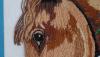 post-471-1237353215_thumb.jpg