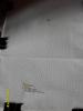 SDC10899.jpg