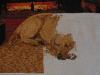 DSC01157.JPG