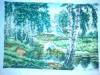 DSC00343.JPG