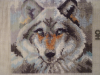 P1000926.GIF