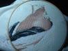 DSC03213.jpg
