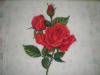 DSCN2200.JPG