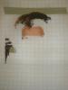 post-275-1300111342_thumb.jpg