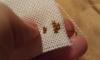 post-10292-1331235100_thumb.jpg