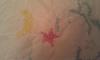 post-10292-1332261355_thumb.jpg