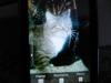 post-12044-1332064851_thumb.jpg