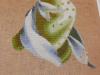 post-2-1331285064_thumb.jpg