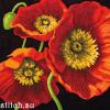 Dimensions 20073, Red Poppy Trio Pillow