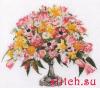 Thea Gouverneur 1084, Spring Flower Display