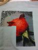 post-2-1332446315_thumb.jpg