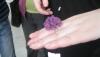 post-3183-1330872945_thumb.jpg