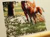 post-12571-1363522013_thumb.jpg
