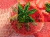 post-14293-1362146256_thumb.jpg