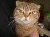 post-14500-1364127002_thumb.jpg
