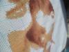 post-15107-1362476917_thumb.jpg