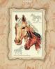 Dimensions 06889, Пара лошадей (Equestrian Duo)