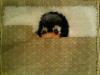 post-2-1362313175_thumb.jpg