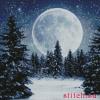 Kustom Krafts 98757, Winter Moon