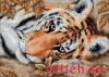 Dimensions 65056, Притягательный тигр (Beguiling Tiger)