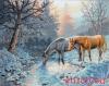 Dimensions 35294, Frosty Morning