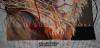 post-2-1364137533_thumb.jpg