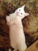 post-7686-1364294575_thumb.jpg
