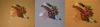 post-16817-1394042504_thumb.jpg