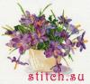 Алиса 2-26, Крокусы