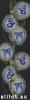 post-2-1395002823_thumb.jpg