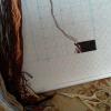 post-2-1395004346_thumb.jpg
