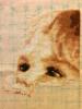 post-2-1395572983_thumb.jpg