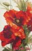 post-2-1396190403_thumb.jpg