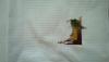 post-20343-1395970751_thumb.jpg